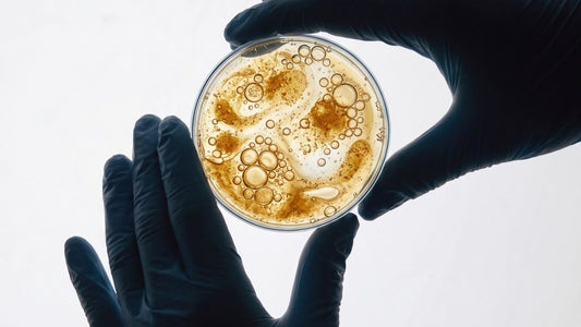Gloved hands holding a petri dish with golden liquid and bubbles in a lab, representing stem cell skincare research